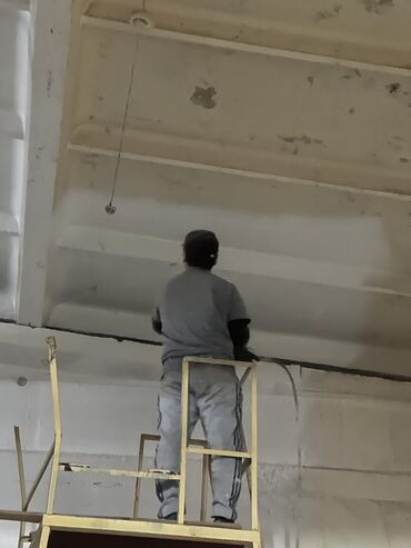 Покраска: Покраска стен, Покраска потолков, Покраска дверей, На масляной основе, На водной основе, Больше 6 лет опыта — 23
