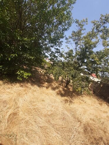 Bağ evlərinin satışı: Bakı, Görədil, 65 kv. m, 1 otaqlı, Hovuzsuz, Qaz, Su, Kanalizasiya — 20