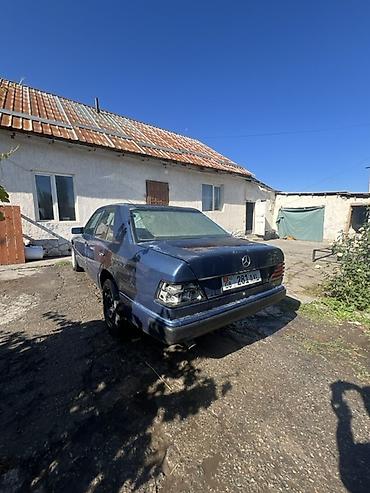багажник портер 1: Mercedes-Benz W124: 1992 г., Седан — 5