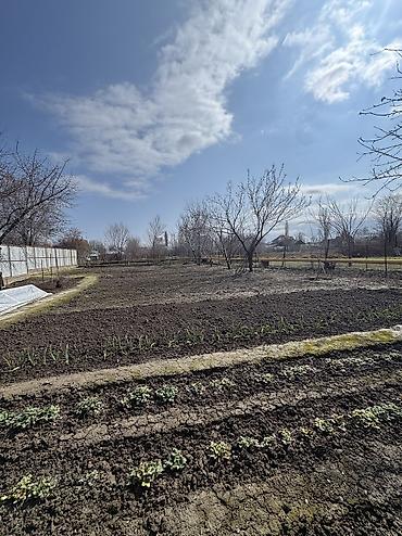 Продажа коттеджей и домов: ✨Продаётся дом в с.Романовка✨ 🏡 Характеристики: • Участок - — 4