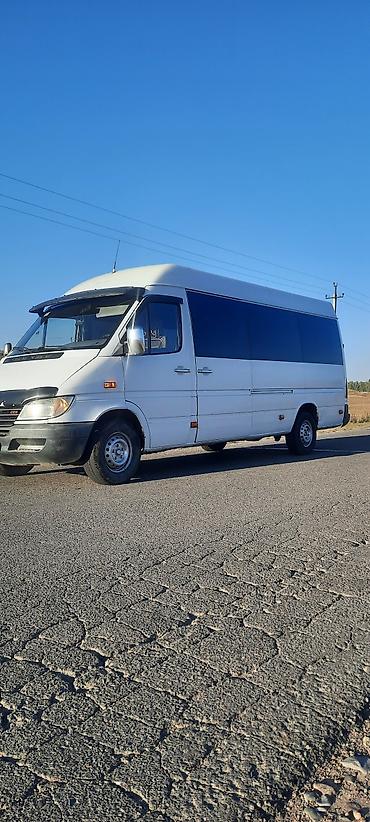 Mercedes-Benz Спринтер: 2004 г., 2.9 л, Механика, Дизель, Бус