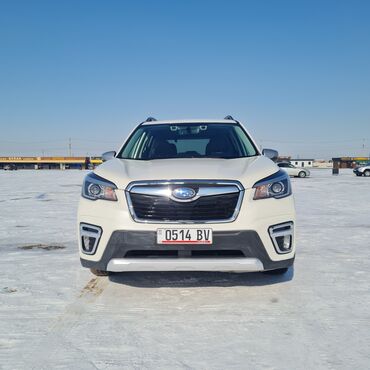 форестер фирма: Subaru Forester: 2020 г., 2.5 л, Вариатор, Бензин, Внедорожник