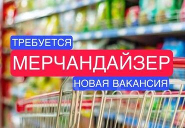 помощь по дому: В Иссык-Кульской области В Торговую компанию АРОМА-АНКЛАВ требуются