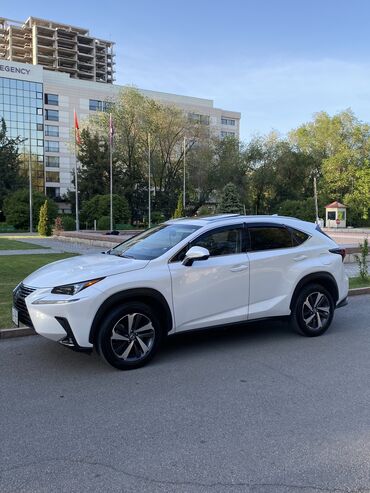 Lexus: Lexus NX: 2018 г., 2 л, Автомат, Бензин, Кроссовер