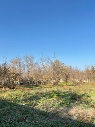 Torpaq sahələrinin satışı: 18 sot, Tikinti, Kupça (Çıxarış) — 9