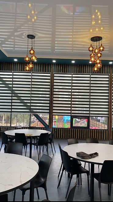 Жалюзи и рольшторы: Всех видов ролл шторы и жалюзи >День и ночь (зебра) — 9