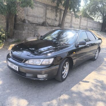 рулевая рейка тойота виндом: Toyota Windom: 1999 г., 2.5 л, Автоматические, Бензин, Седан