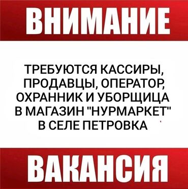 калыс ордо 1: Продавец-консультант