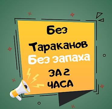 Клининг кызматтары: Дезинфекциялоо, дезинсекциялоо, | Канталалар, Кумурскалар, Чычкандар жана келемиштер, | Офистер, Үйлөр, Кафелер, дүкөндөр — 8