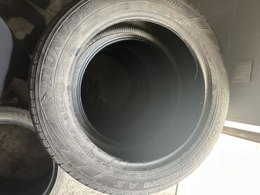 Шины: Шины 235 / 55 / R 19, Всесезонная, Внедорожные (АТ/МТ), Dunlop