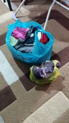 отдам даром попугая бишкек: Отдам даром