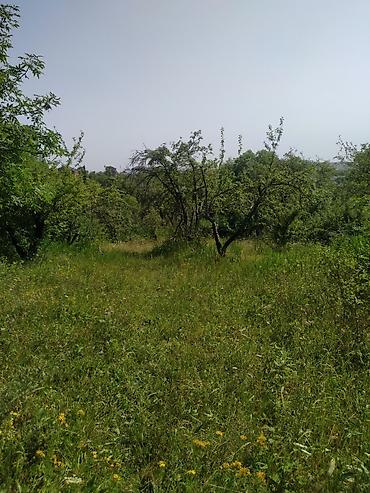 samaxi: 18 sot, Mülkiyyətçi, Kupça (Çıxarış) — 5