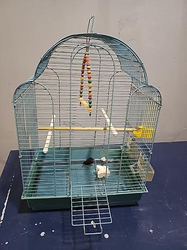 taxta qəfəs: Quş qəfəsi – aksesuarlarla - Material: metal karkas, plastik altlıq - — 1