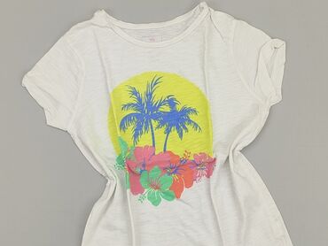 koszulka fruit: T-shirt, Young Dimension, 12 years, 146-152 cm, condition - Good