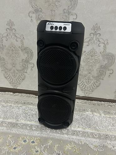 ses aparatı: SNOY ZQS6223 portativ akustik sistemi - İkiqat 6.5" dinamikli güclü — 1