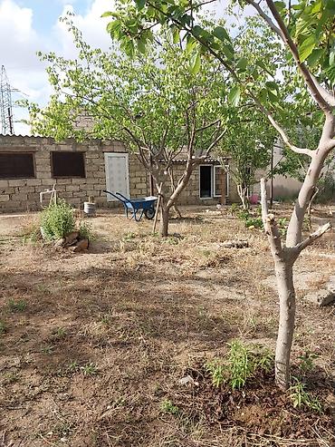 Torpaq sahələrinin satışı: Kənd təsərrüfatı — 5