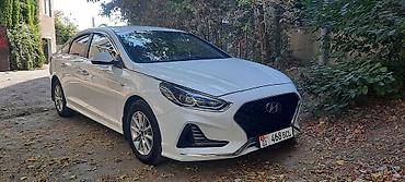 соната пленка: Hyundai Sonata: 2020 г., 2 л, Автомат, Бензин, Седан — 3