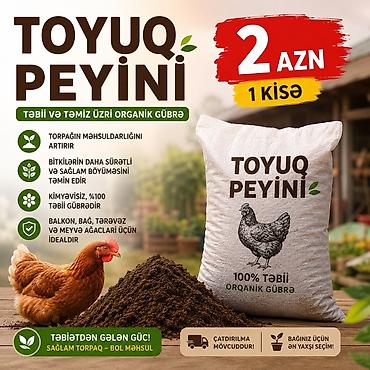 Peyin: Çatdırılma mövcuddur✅ Təmiz toyuq peyini😍 Mükəmməl nəticə👌 Məhsul — 1