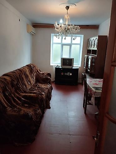 qubada satilan evler: Kirayə verilir: 2 otaqlı mənzil (mətbəx, yataq otağı, sanitar qovşağı) — 7