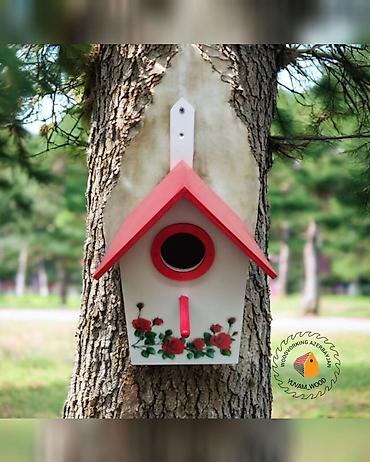 Yuvalar: Quş yuvası — 7