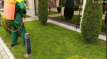 Другие услуги: Сделали ландшафтный дизайн? Нужно поддерживать его в идеальном — 10