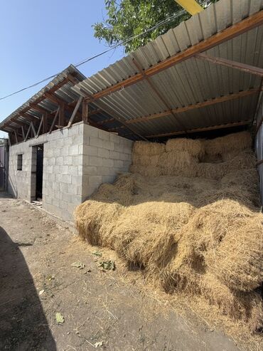 Продажа домов: Дом, 68 м², 3 комнаты, Агентство недвижимости, Косметический ремонт — 14