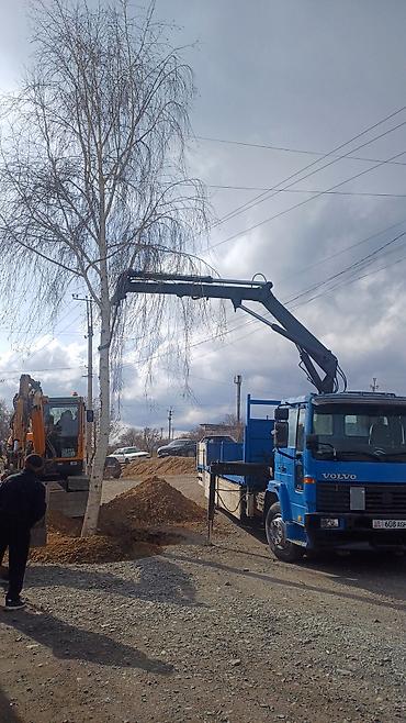 Volvo: Volvo : 2000 г., 5.5 л, Механика, Дизель — 16