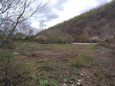 lenkeran torpaq sahesi: 8 sot, Tikinti, Mülkiyyətçi, Kupça (Çıxarış)