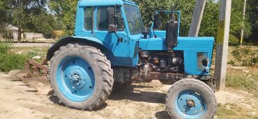 Тракторы МТЗ (Беларус): Трактор МТЗ «Беларус» с кабиной, сзади трехточечная навеска и ВОМ — 11