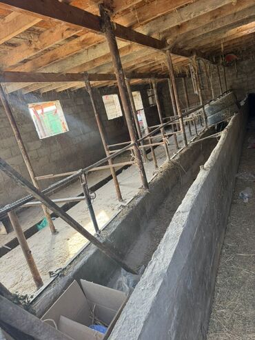 Продажа домов: Дом, 130 м², 6 комнат, Собственник, Евроремонт at lalafo.kg — 6 Продажа домов: Дом, 130 м², 6 комнат, Собственник, Евроремонт — 6