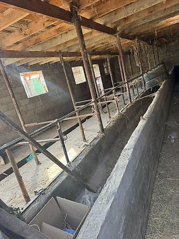 Продажа коттеджей и домов: Продаю двух этажный дом + 1.5 га земли орошаемойземля шикарная — 7