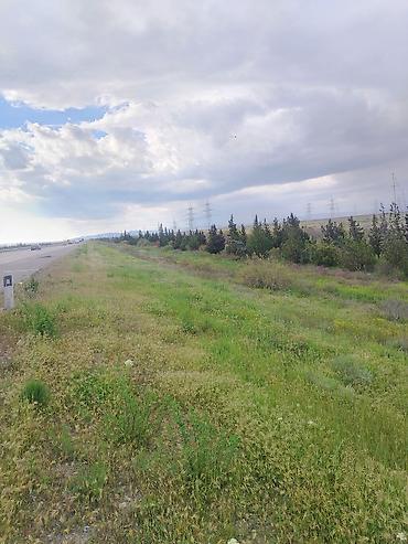 ələt ev: 340 sot Biznes üçün, İşıq — 3