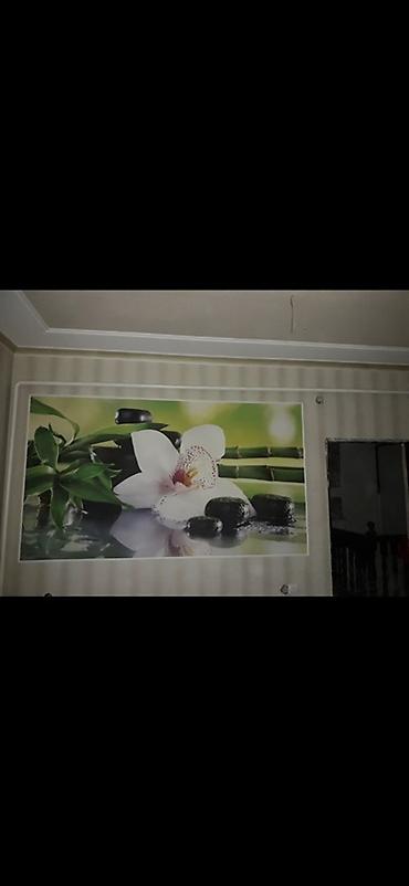 орхи: Поклейка обоев и фотобоев под ключ - Профессиональная оклейка стен — 2