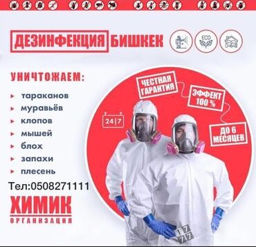 палитех квартира: Дезинфекция, дезинсекция | Клопы, Блохи, Тараканы | Транспорт, Офисы, Квартиры