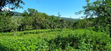 nardaranda torpaq satilir: 15 sot, Tikinti, Mülkiyyətçi, Kupça (Çıxarış)