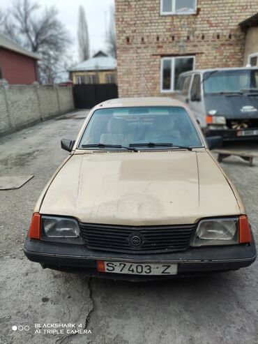 золота б у: Opel Ascona: 1987 г., 1.6 л, Механика, Бензин, Хэтчбэк