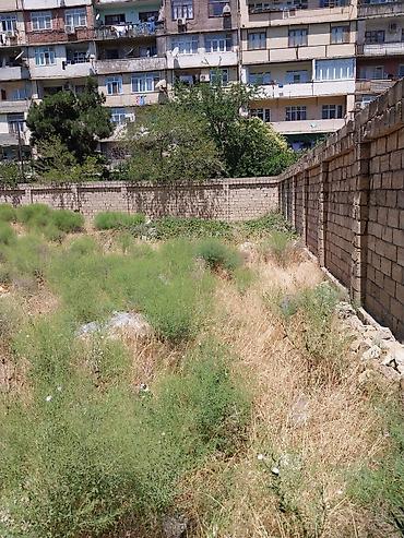 razin: 9 sot, Tikinti, Makler, Kupça (Çıxarış) — 2