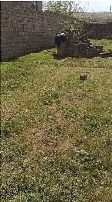 Torpaq sahələrinin satışı: Tikinti — 13