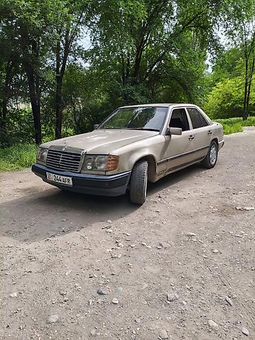 1520 мерс: Mercedes-Benz W124: 1989 г., 2.5 л, Механика, Дизель, Седан — 2