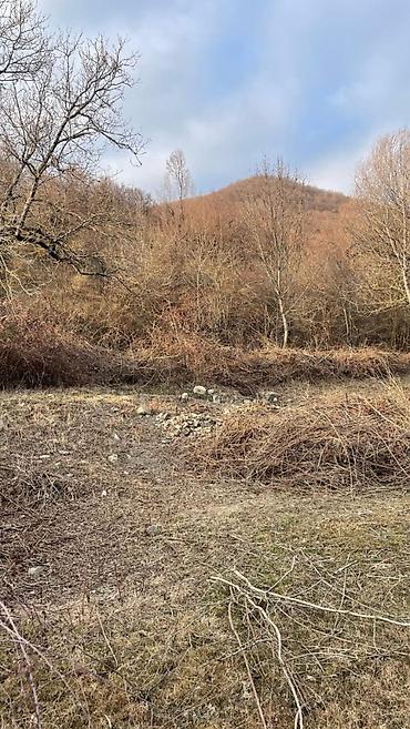 zabrat kiraye ev: İsmayilli rayonu Asagi Culyan kendinde tam senedli cixarisli mese — 2