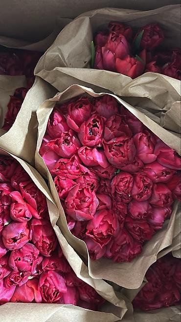 Букеты из живых цветов: Свежие тюльпаны в большом количестве! 🌷 💰 Цены: — В розницу —130 — — 7