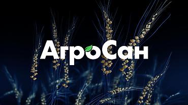 Графические дизайнеры: Графический дизайнер — 24