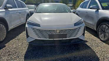 машины за 6000 долларов: Changan Eado: 2024 г., 1.5 л, Робот, Бензин, Седан