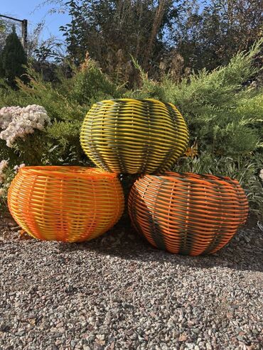 тыква оптом: Үй жана бакча үчүн декор, Өзү алып кетүү