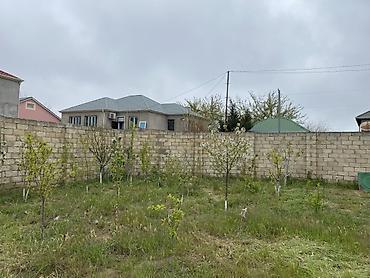 Torpaq sahələrinin satışı: 5 sot, Tikinti, Mülkiyyətçi, Kupça (Çıxarış) — 9