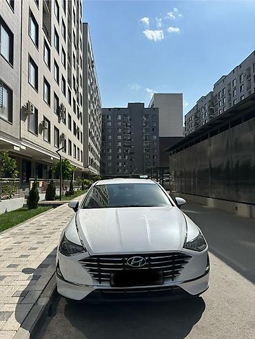 Hyundai Sonata: 2019 г., 2 л, Автомат, Газ, Седан