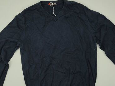 Sweatshirts: Sweatshirt for men, L (EU 40), condition - Good