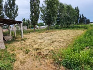 Продажа участков: 15 соток, Для строительства, Красная книга — 9