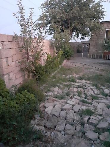 heyet evlerı: 5 otaqlı, 117 kv. m, Kredit yoxdur, Orta təmir — 3