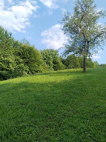 Torpaq sahələrinin satışı: 92 sot, Biznes üçün, Mülkiyyətçi, Kupça (Çıxarış), Bələdiyyə, Müqavilə — 17